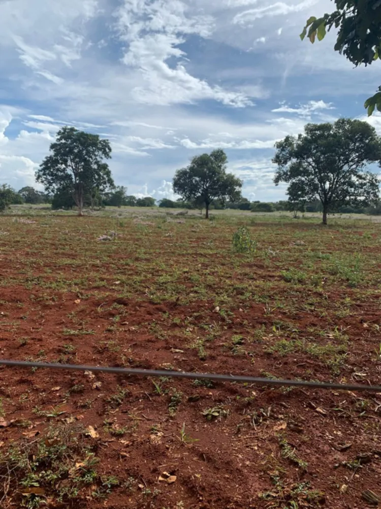 Fazenda, 640 hectares - Foto 18