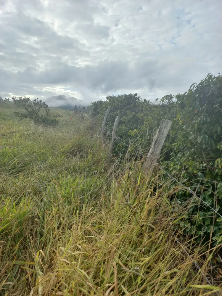 Terreno, 260021 m² - Foto 5