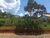 Terreno, 1000 m² - Foto 4