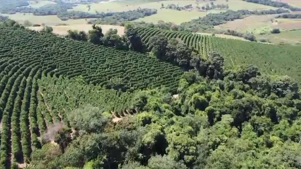 Fazenda, 48 hectares - Foto 4