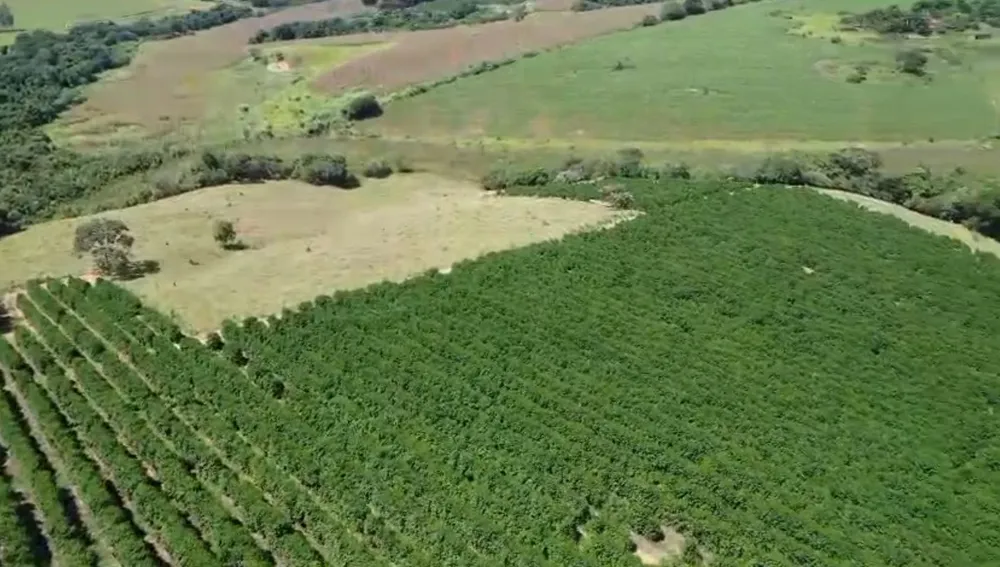 Fazenda, 48 hectares - Foto 2