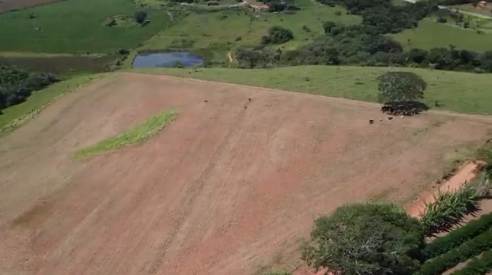 Fazenda, 48 hectares - Foto 8