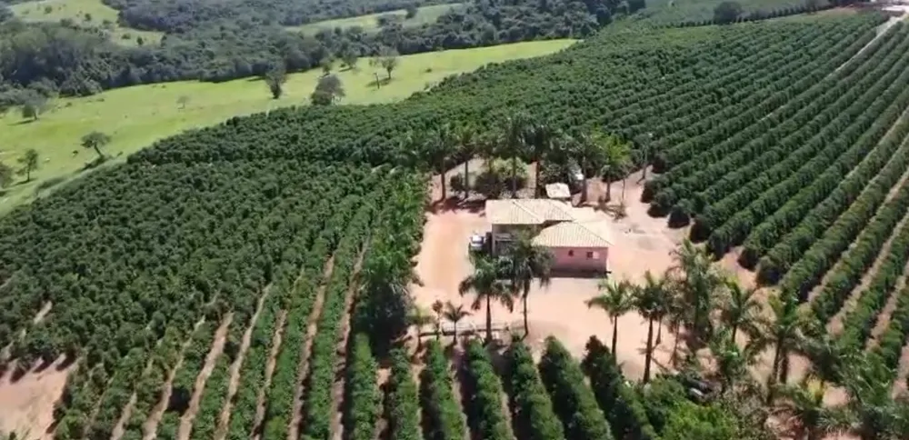 Fazenda, 48 hectares - Foto 11