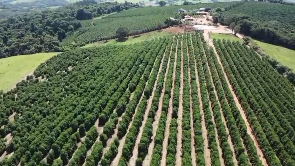 Fazenda, 48 hectares - Foto 3
