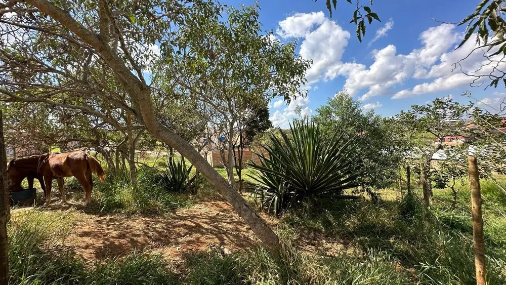 Terreno, 397 m² - Foto 11