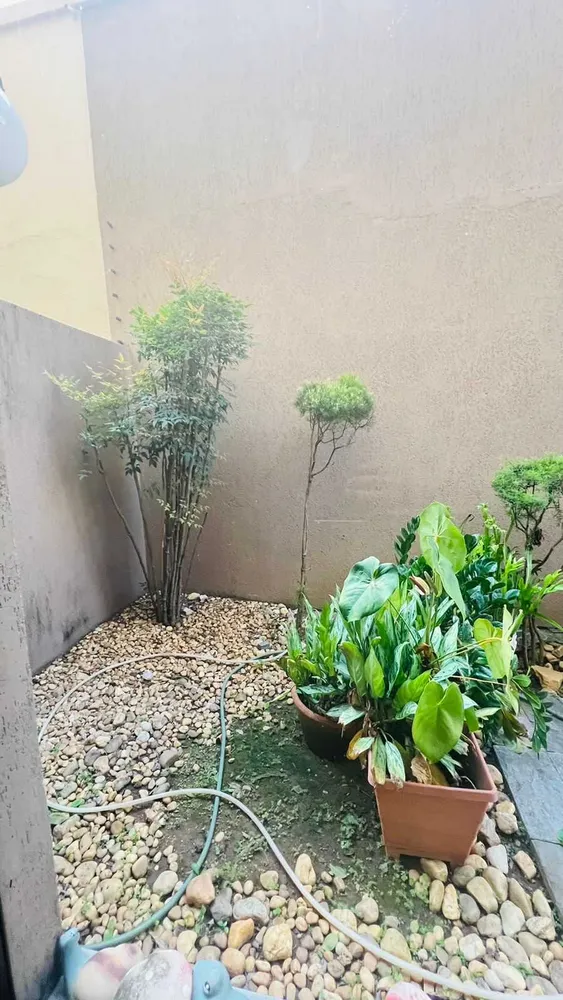 Apartamento, 4 quartos, 420 m² - Foto 4