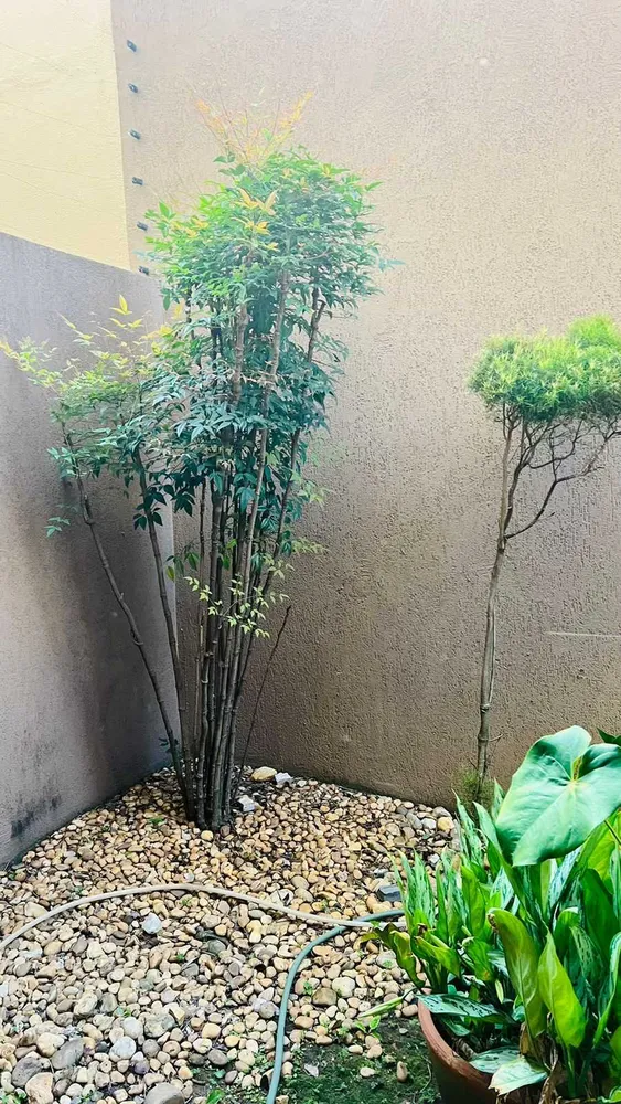 Apartamento, 4 quartos, 420 m² - Foto 5