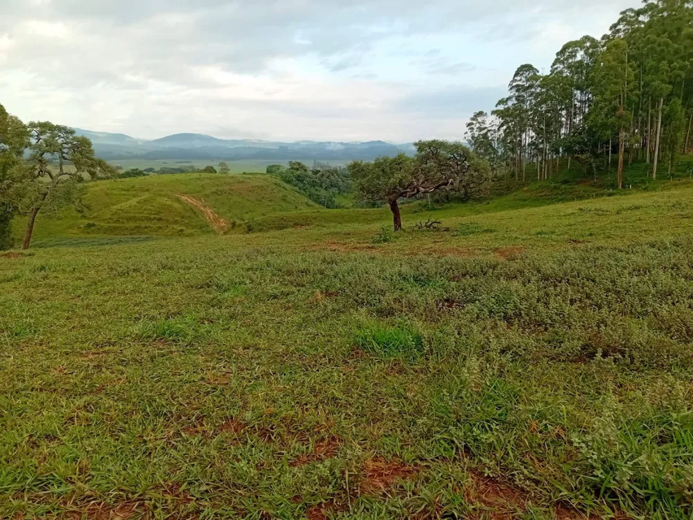 Fazenda, 87 hectares - Foto 1