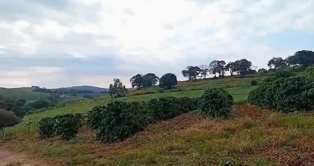 Fazenda, 87 hectares - Foto 2