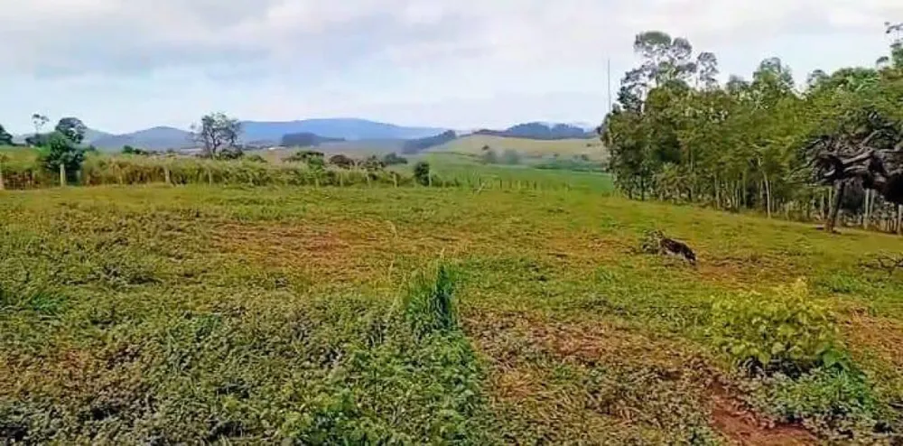 Fazenda, 87 hectares - Foto 6