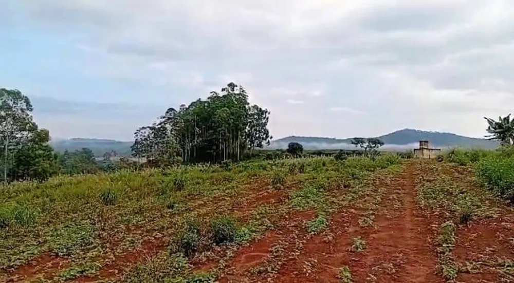 Fazenda, 87 hectares - Foto 2