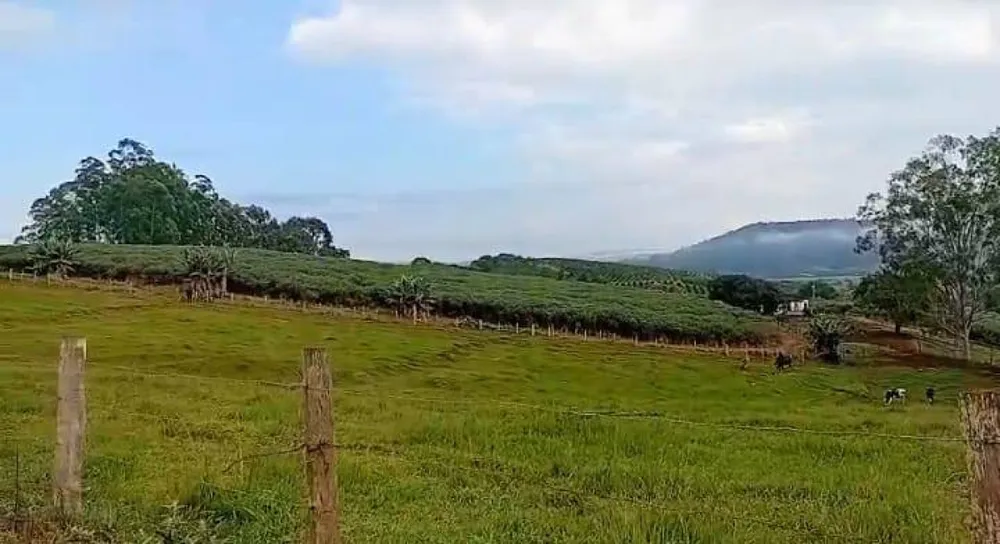 Fazenda, 87 hectares - Foto 3