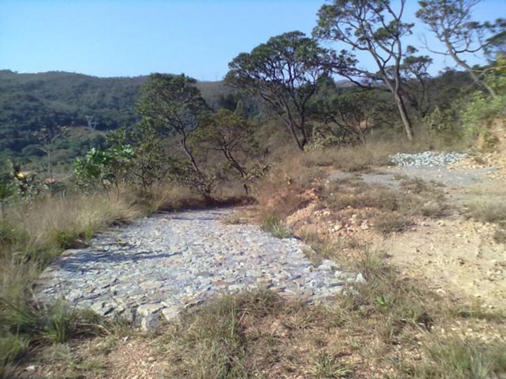 Terreno à venda, 5000m² - Foto 4