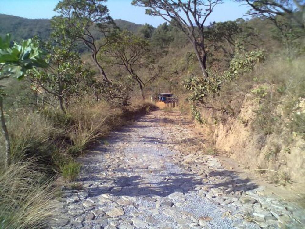 Terreno à venda, 5000m² - Foto 3