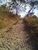 Terreno, 5000 m² - Foto 1