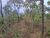 Terreno, 5000 m² - Foto 10