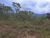 Terreno, 5000 m² - Foto 8