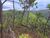 Terreno, 5000 m² - Foto 5