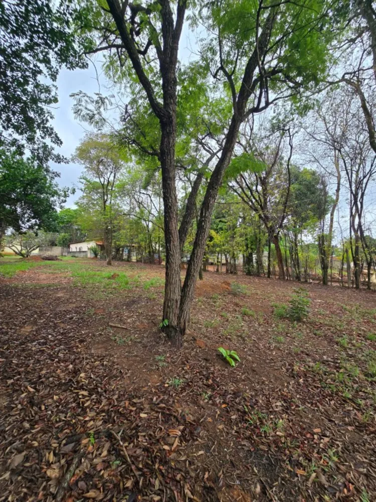 Casa, 2 quartos, 2400 m² - Foto 7
