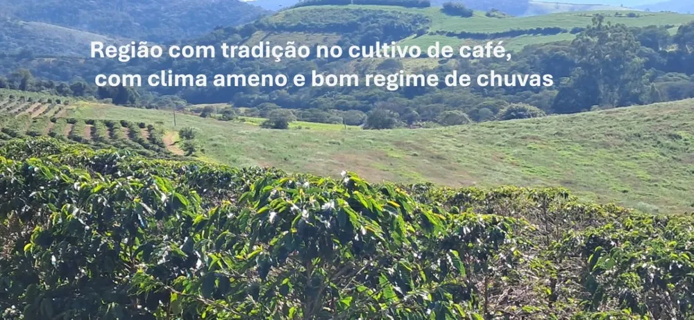 Fazenda, 44 hectares - Foto 2