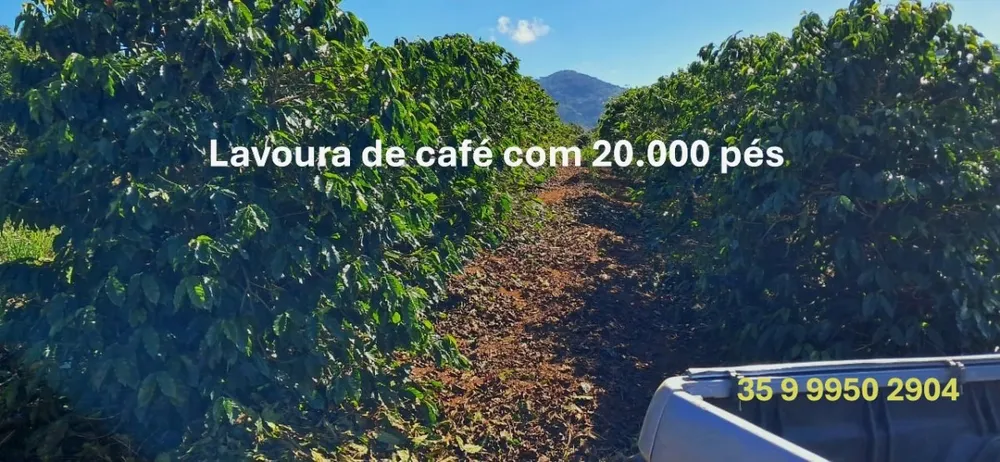 Fazenda, 44 hectares - Foto 1