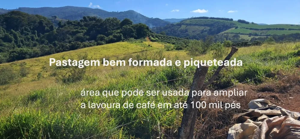 Fazenda, 44 hectares - Foto 3