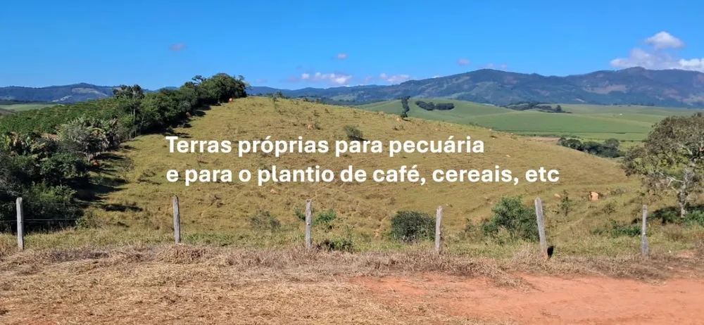 Fazenda, 44 hectares - Foto 16
