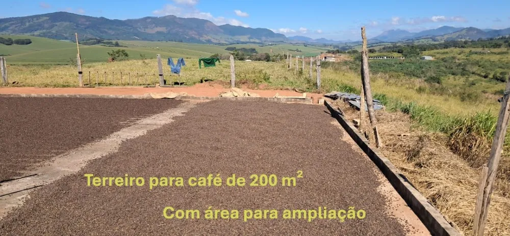 Fazenda, 44 hectares - Foto 14
