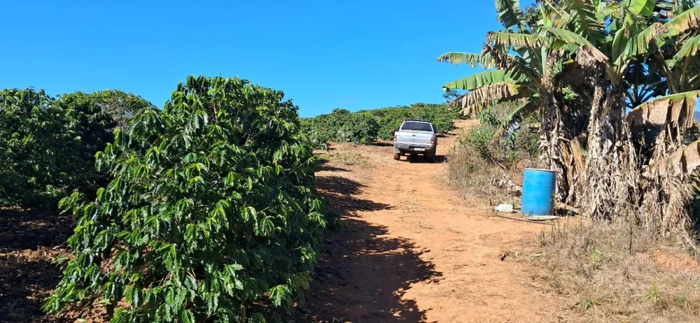 Fazenda, 44 hectares - Foto 6