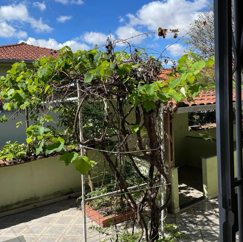 Casa, 3 quartos - Foto 12