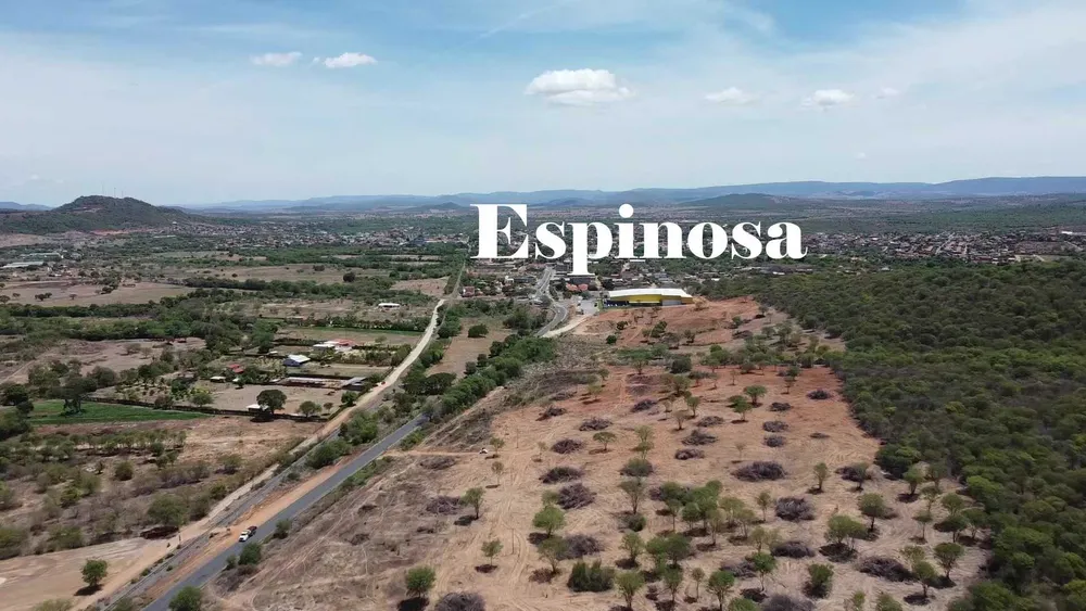 Terreno, 450000 m² - Foto 5
