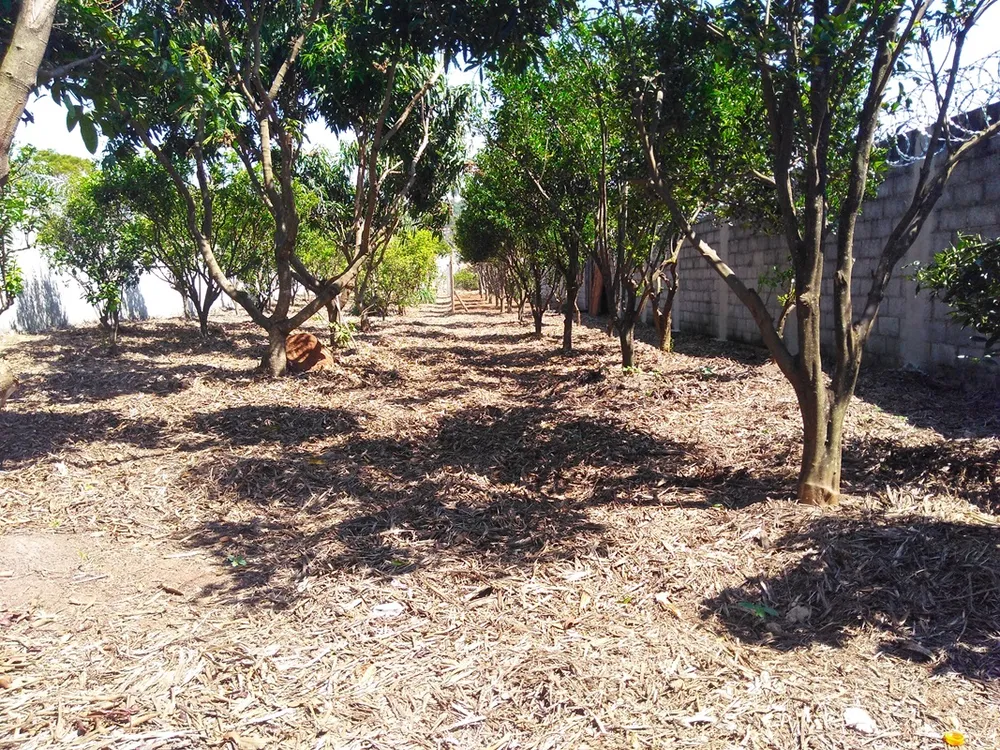Terreno, 1015 m² - Foto 7
