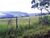 Fazenda, 427 hectares - Foto 3
