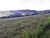 Fazenda, 427 hectares - Foto 2