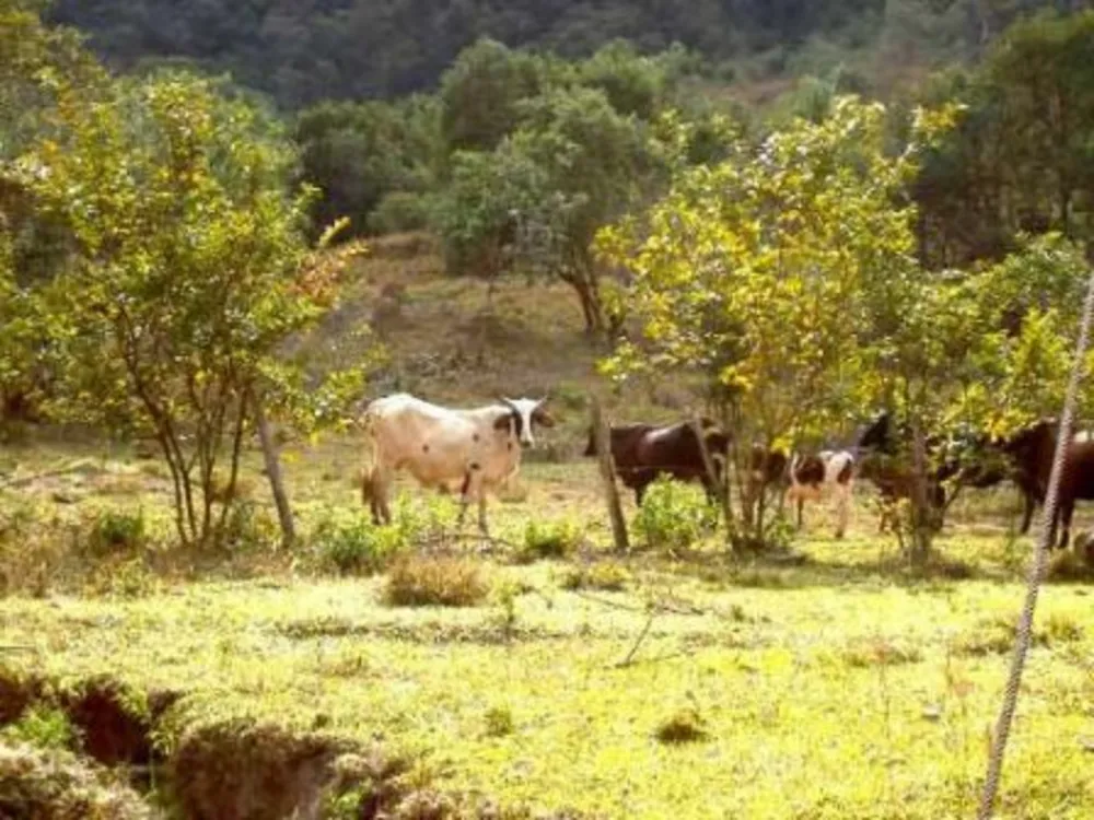 Terreno, 220 m² - Foto 2