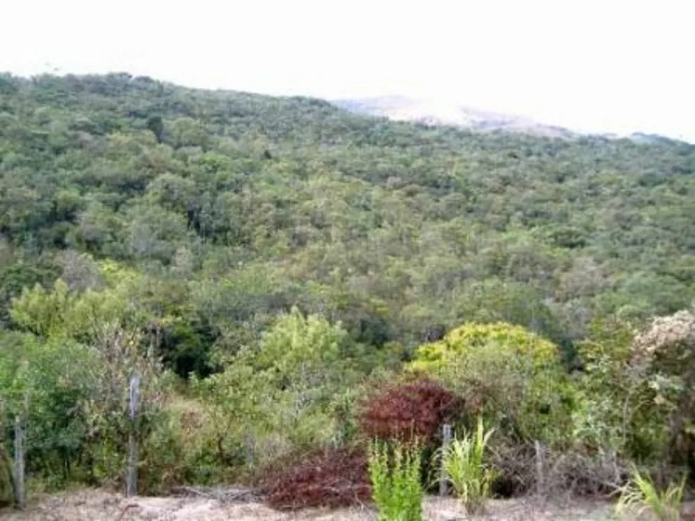 Terreno, 220 m² - Foto 3