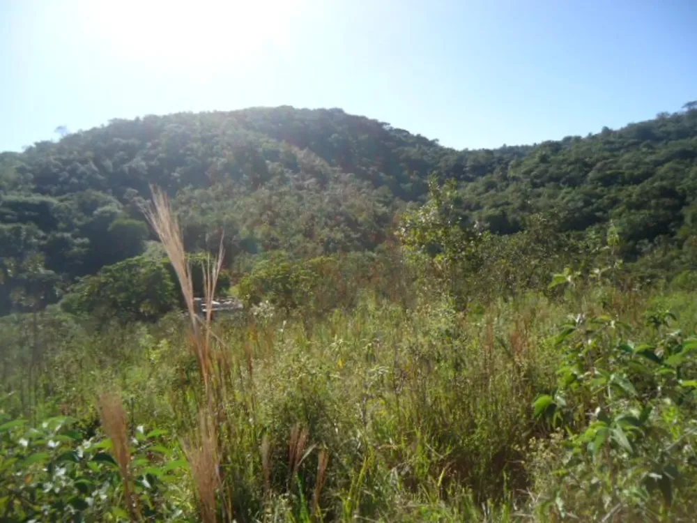 Terreno, 220 m² - Foto 4