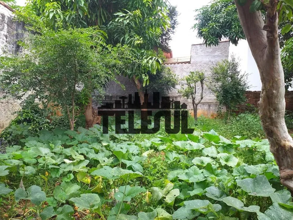 Casa, 4 quartos, 440 m² - Foto 7