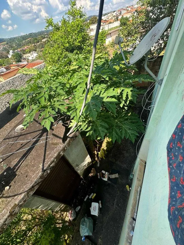 Casa, 3 quartos, 239 m² - Foto 10