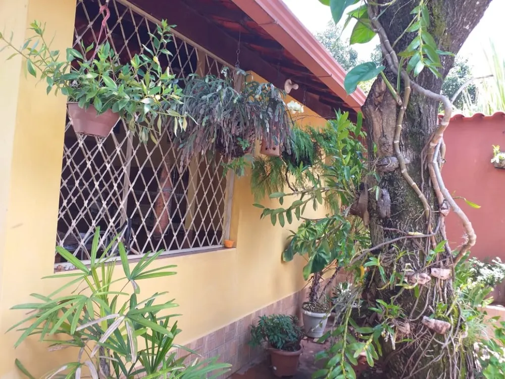 Chácara, 3 quartos, 950 m² - Foto 5