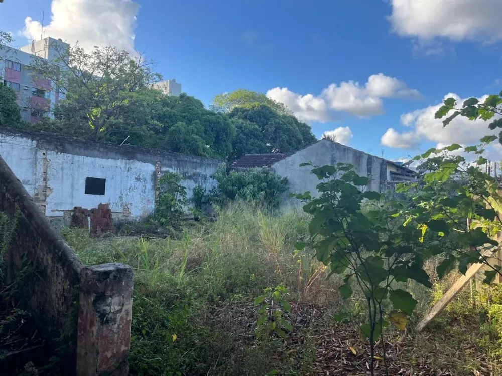 Casa, 3 quartos, 789 m² - Foto 6