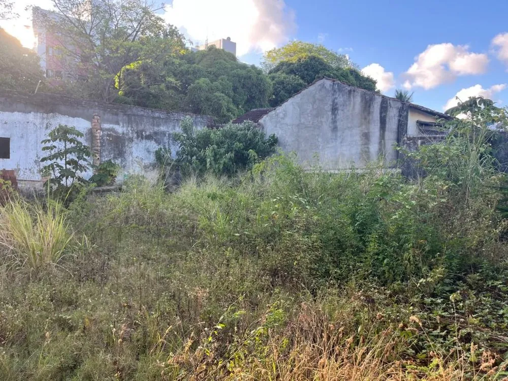 Casa, 3 quartos, 789 m² - Foto 5