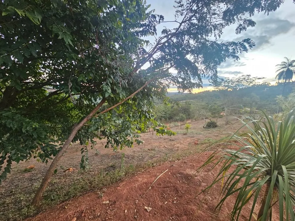 Chácara, 4 quartos - Foto 12