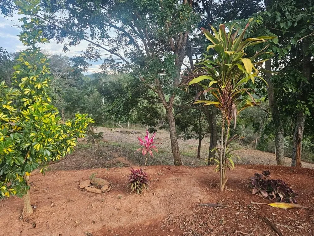 Sítio, 4 quartos, 17400 m² - Foto 15