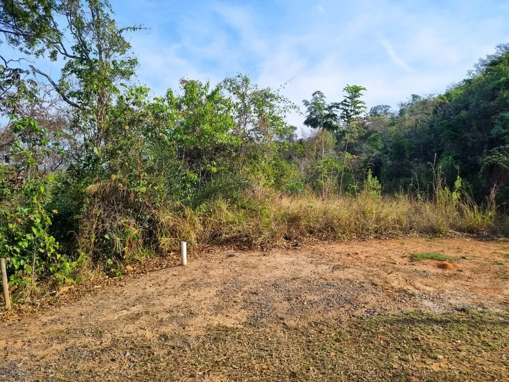 Terreno, 2895 m² - Foto 3