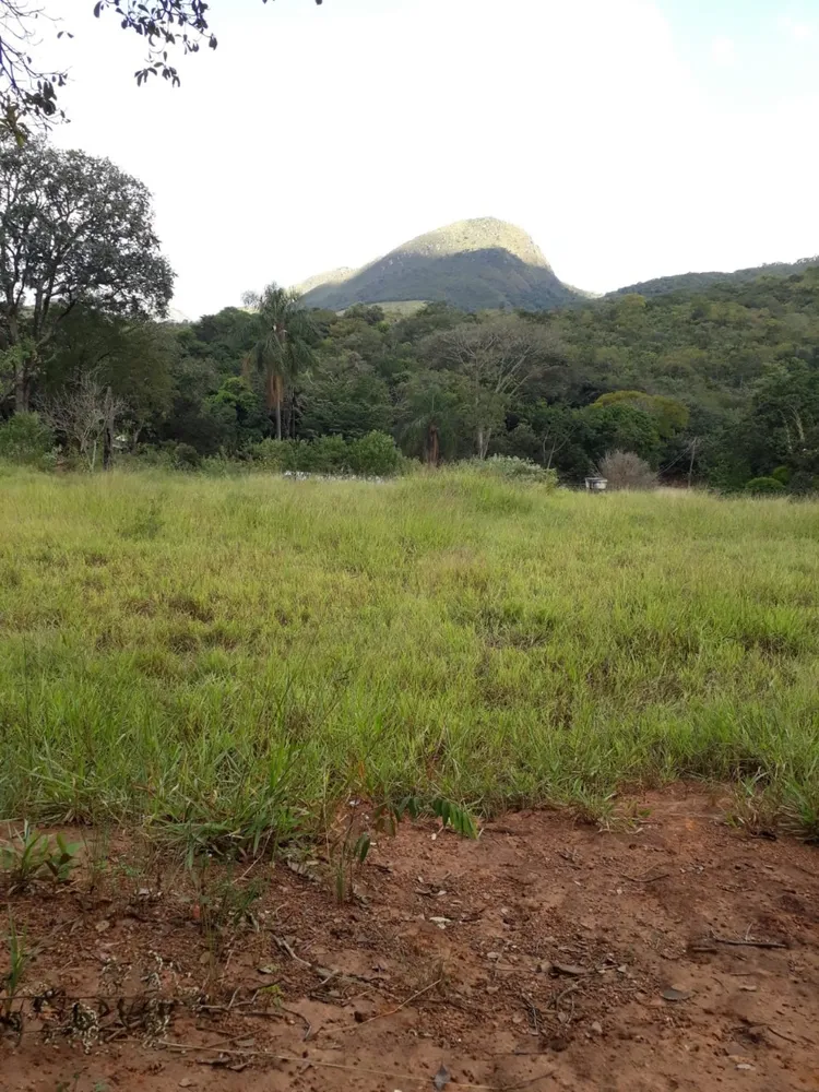 Chácara, 3 quartos, 9200 m² - Foto 5