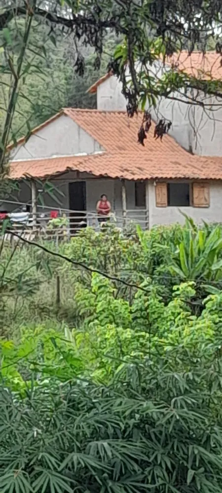 Chácara, 3 quartos, 9200 m² - Foto 2