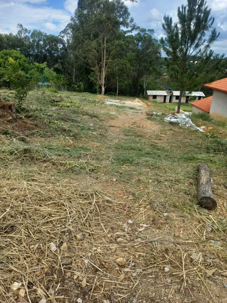 Terreno, 1541 m² - Foto 7