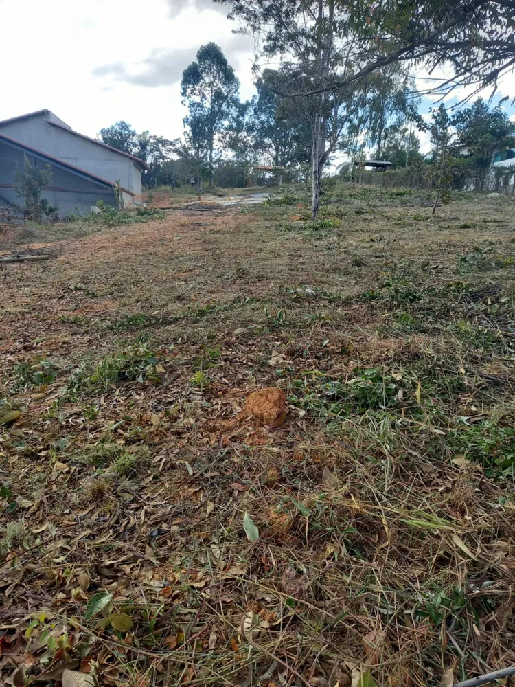 Terreno, 1541 m² - Foto 5