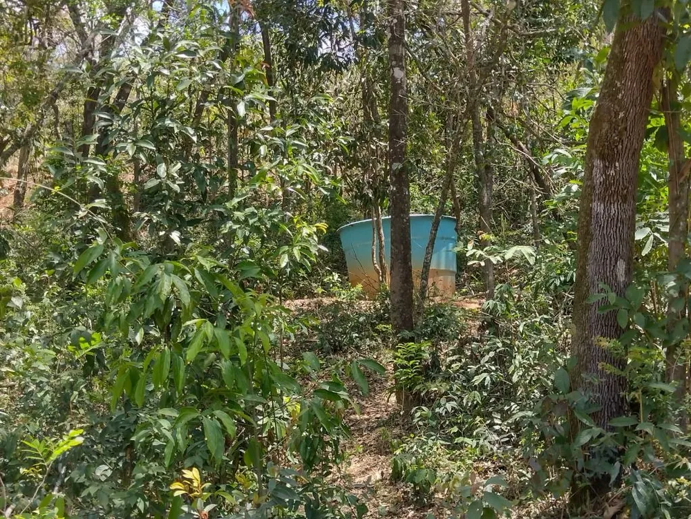 Chácara, 1 quarto - Foto 3